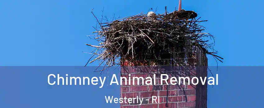  Chimney Animal Removal Westerly - RI
