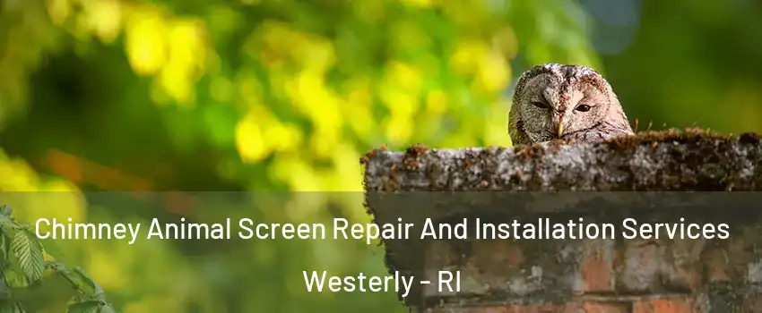  Chimney Animal Screen Repair And Installation Services Westerly - RI