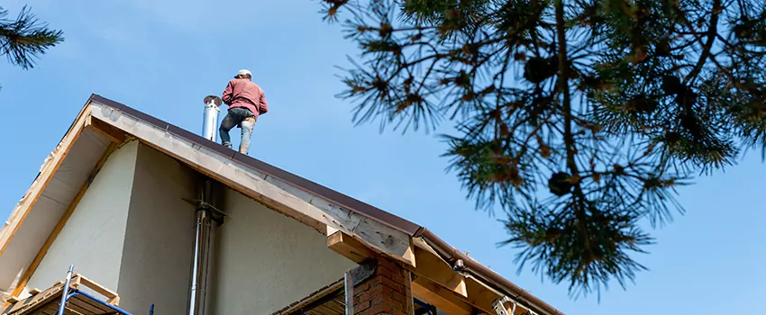 Birds Removal Contractors from Chimney in Westerly, RI
