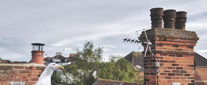 Chimney Cleaning And Restoration in Westerly, Rhode Island
